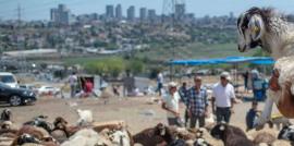 مراسم قربانی کردن و اقامه نماز برای دفع بلای کرونا در «حکاری» ترکیه