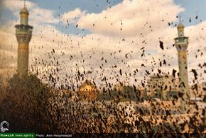 تصاویری از حرم حضرت زینب(س)