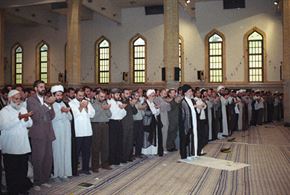 تصاویری از مرحوم آیت الله مصباح یزدی